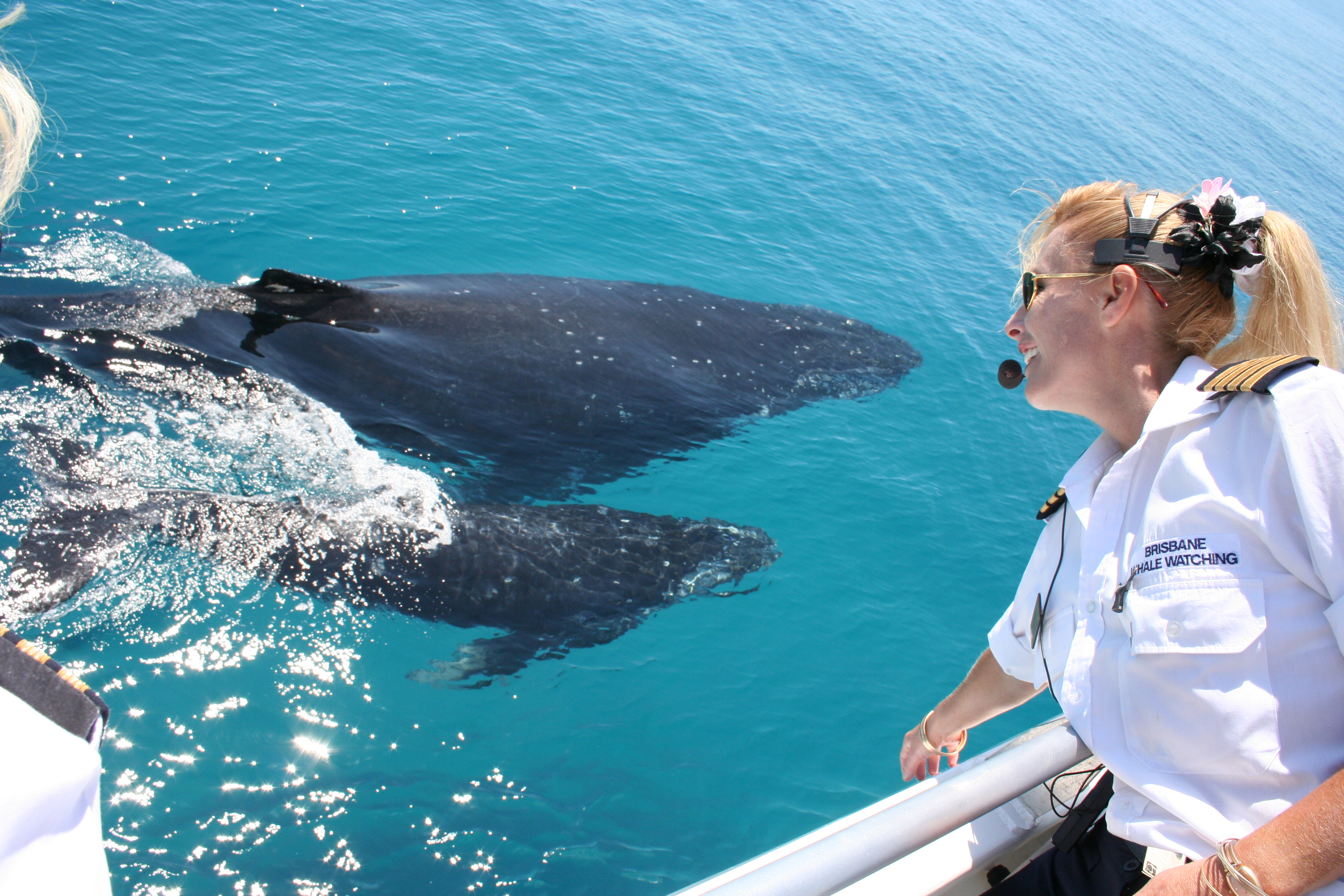 Whale Watch| Whale Watch Tour Bookings