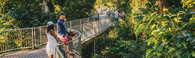 Mamu Tropical Skywalk