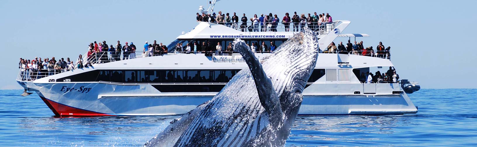 Whale Watch Dept. Sunshine Coast| Whale Watch Tour Bookings