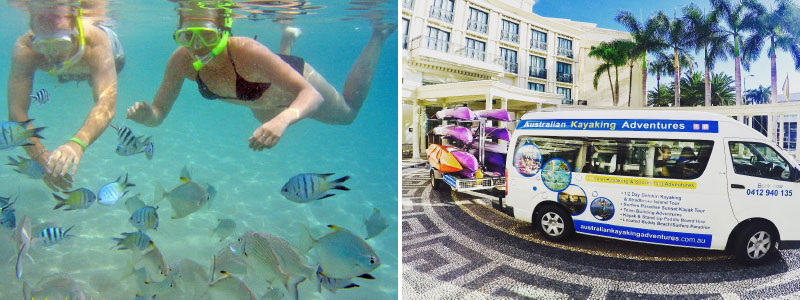 gold coast kayak tour dolphin and Stradbroke Tour