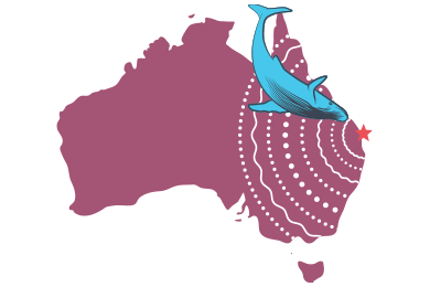 hervey bay whale watch map
