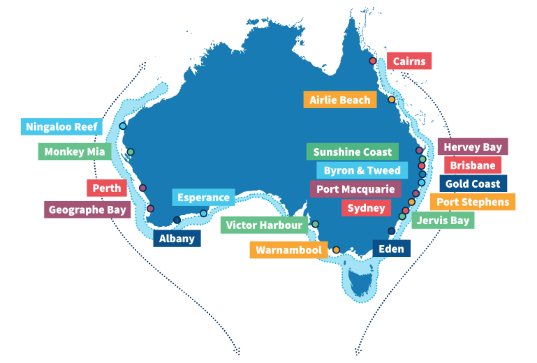 humpback whale migration map