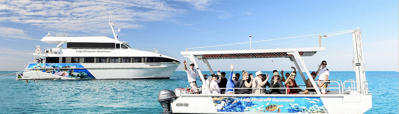 Lady Musgrave Island day tour