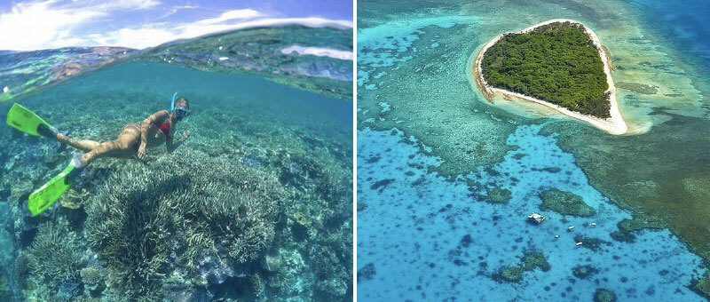 lady musgrave island day cruise features