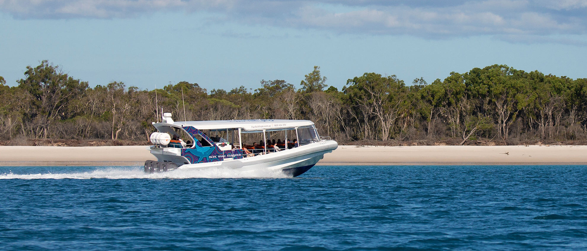 Ultimate Whale Watch cruise| Whale Watch Tour Bookings